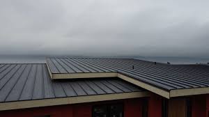 Best Metal Roofing Installation  in Taylor Creek, FL